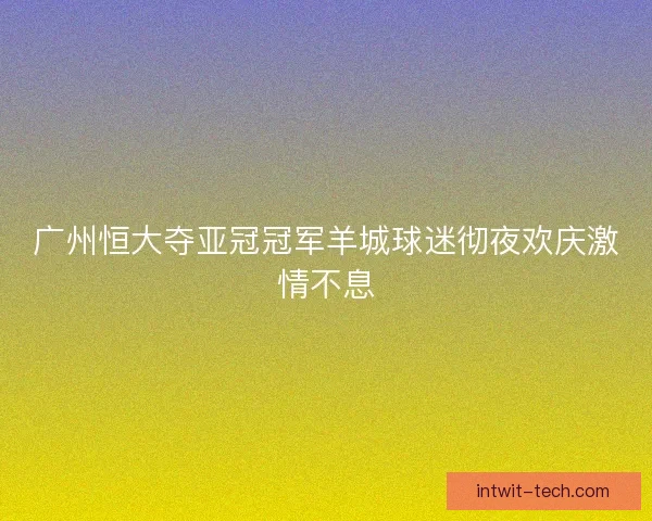 广州恒大夺亚冠冠军羊城球迷彻夜欢庆激情不息